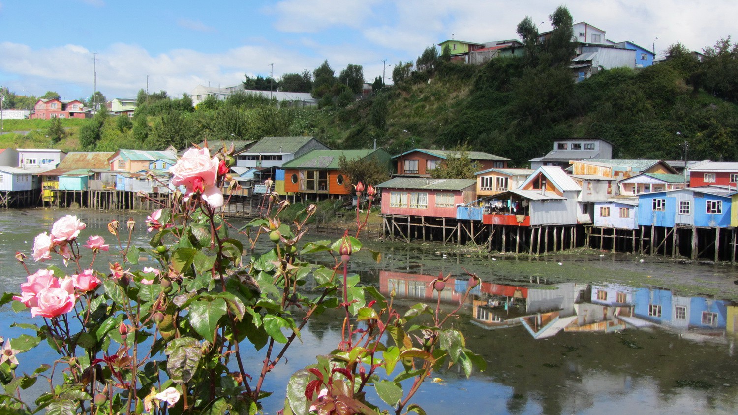 Palafitos (houses on stilts above the water) in the northern part of Castro